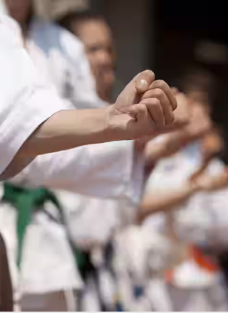 KARATE CLASSES icon